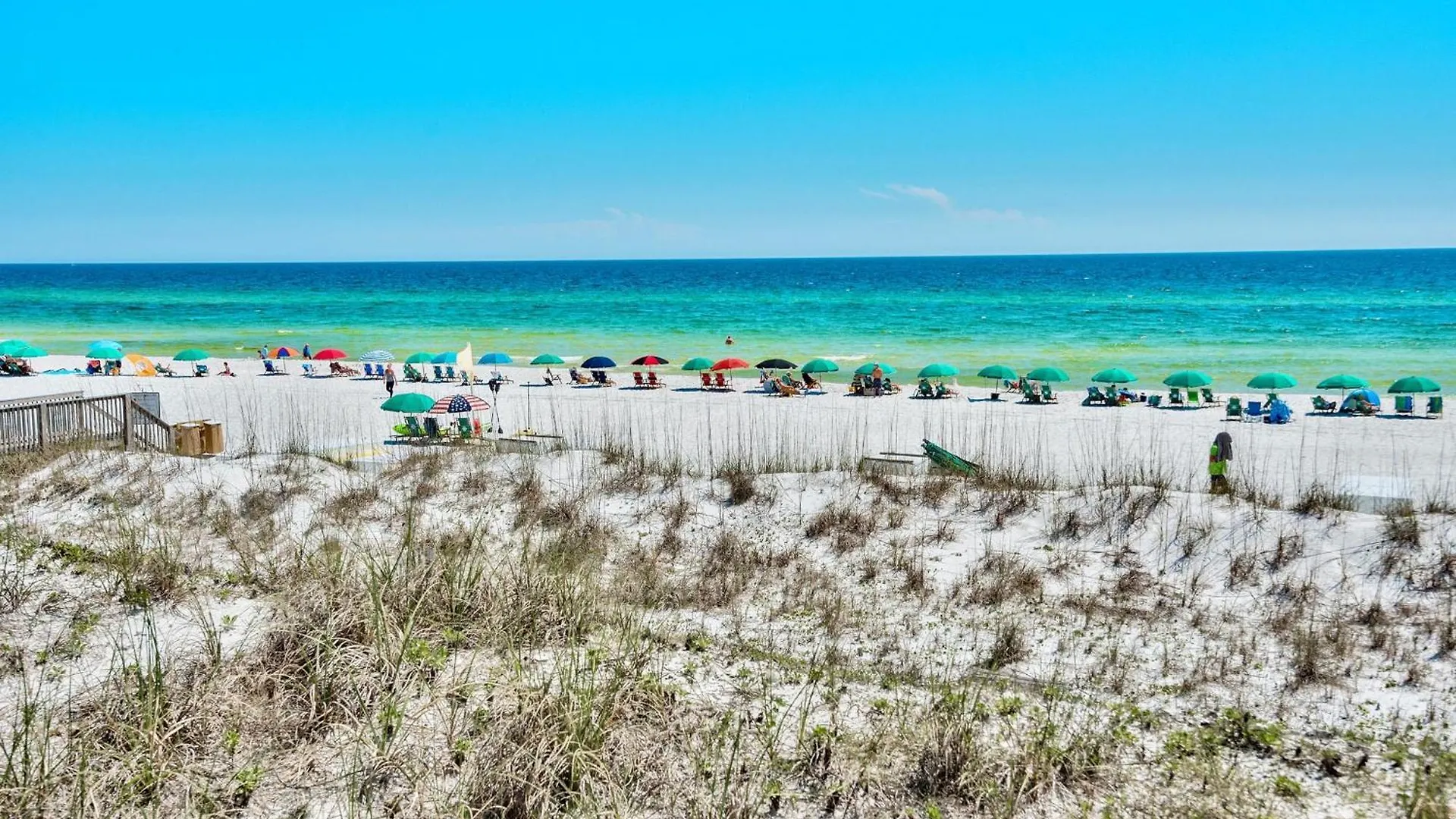 Sun Kiss'D By The Captain Destin United States